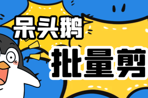 外面收费980的呆头鹅批量剪辑视频软件终极版，号称一秒生成100个原创视频【剪辑软件+使用教程】