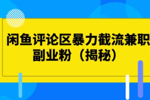 闲鱼评论区暴力截流兼职副业粉课程