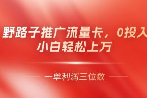 人人可做推广流量卡，一单利润上百，0投入，小白轻松上万 ，2024年副业天花板