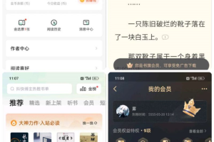 追书神器+书旗小说+番薯小说 解锁会员 免费无限畅读
