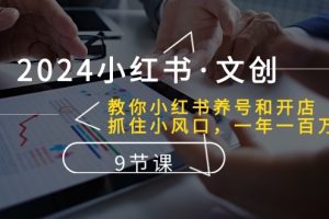 024小红书·文创：教你小红书养号和开店、抓住小风口 一年一百万