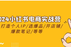 2024小红书电商实战营，养号打造IP/选爆品/开店铺/爆款笔记/等等（24节）