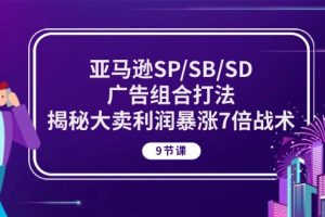 亚马逊SP/SB/SD广告组合打法，揭秘大卖利润暴涨7倍战术