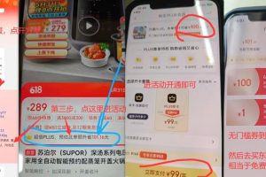 京东618薅羊毛_0撸京东PLUS年会员，名额优先，先到先得~