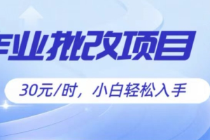 批改作业项目，30元时，简单容易上手，适合宝妈，大学生