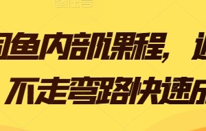 闲鱼内部课程，避雷指南，不走弯路快速成长