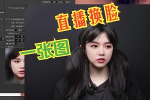 AI直播换脸教程，一张图也能直播换脸？AI直播换脸，换脸教程，deepfacelive ai教学 换脸教学