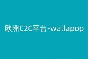 西班牙欧洲C2C平台-wallapop-kim跨境电商教程