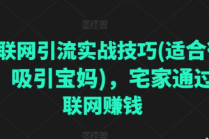 互联网引流实战技巧(适合微商，吸引宝妈) 宅家通过互联网赚钱