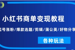 小红书商单变现教程 起号涨粉/爆款选题/剪辑/蒲公英/好物分享/各种玩法
