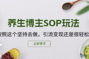 养生博主SOP玩法，按照这个坚持去做，引流变现还是很轻松的 【PDF版】