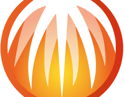 BitComet(比特彗星)v2.10 解锁全功能豪华版