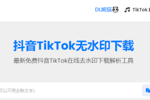 在线抖音TikTok等国外视频去水印下载解析工具【在线工具】