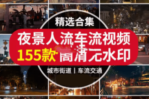 4K夜景人流车流视频共计155款，高清无水印短视频素材【虚拟资源】