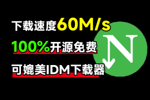 下载速度60M/s，直接跑满带宽！最新NDM中文绿色汉化版，内附详细安装使用教程，平替IDM下载器