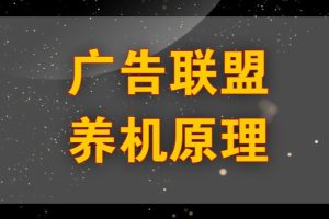 工作室必备的看广告养机及打标签的方法