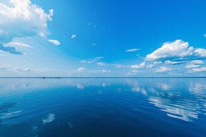 宁做创业狼，不做打工狗