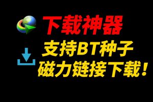 下载利器IDM v6.42.20绿色版+最新NDM中文绿色汉化版/二款Windows 平台功能强大的多线程下载工具