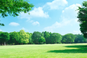 100个让AI写文「没AI味」润色出优质文章的提示词