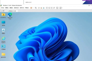 VMwarePro Workstation 虚拟机17.6.1+鸡和密钥