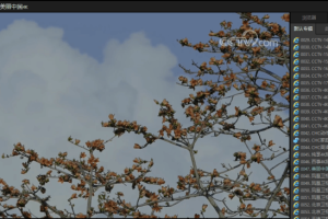 PotPlayer v1.7.22347绿色版/免费全能影音播放器