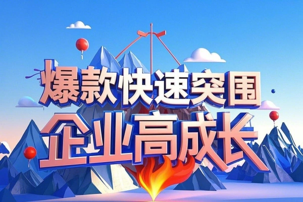 爆款快速突围及企业高成长的盈利模型打造