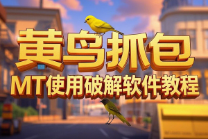 黄鸟抓包教程+MT使用破解软件教程【合集】