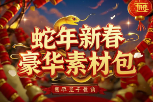 蛇年新春豪华素材包！40G海量资源，含300张迎新春祝福海报及PSD源文件预览图
