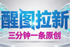 【2025 AI新风口：醒图拉新项目】— 快速出原创，纯手机操作