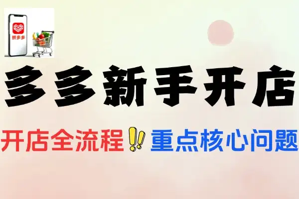 拼多多新手开店全流程及后台操作、盈利知识体系课程指南