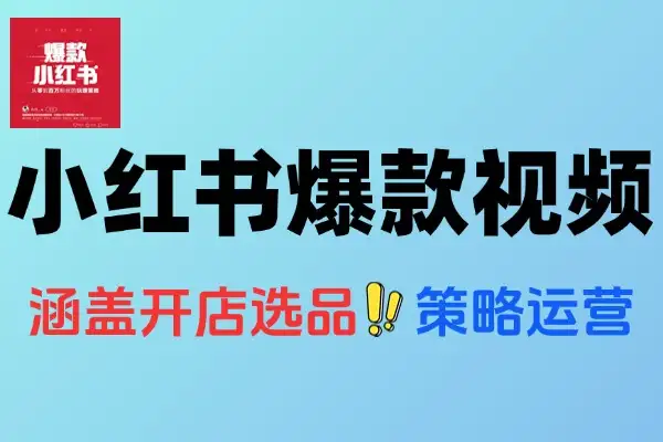 小红书电商带货全攻略：48模块实操+AI工具应用教学
