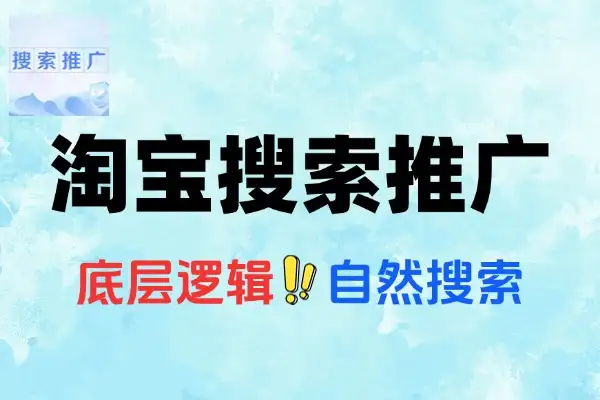 淘宝电商运营课16.0：自然搜索、付费推广及标品非标品运营全攻略
