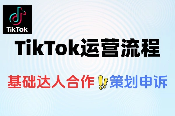 TikTok海外小店运营全流程实战课：装修至达人合作全掌握
