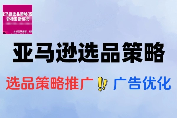 2025亚马逊运营全攻略：选品推广优化与政策解读一站式指南
