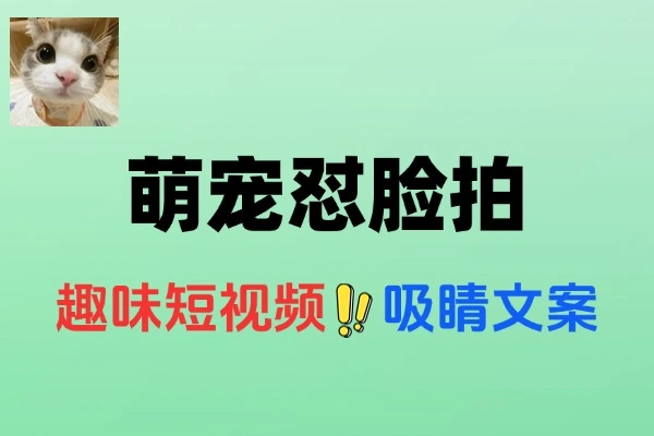 AI萌宠怼脸拍：2025年副业新风口，轻松月入5W+攻略