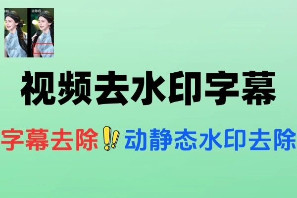 本地AI视频去水印工具：轻松搞定动静态水印与字幕去除