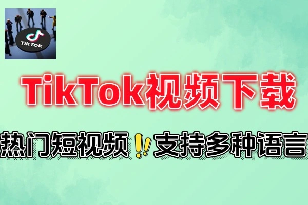 TikTok视频下载器：多语言一键下载短视频/图片/音频神器