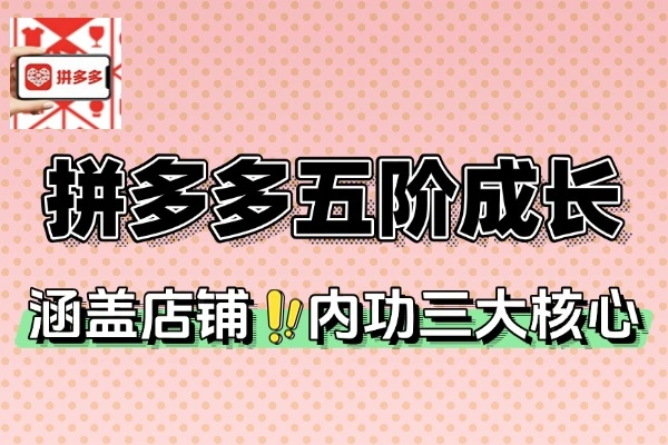 拼多多运营进阶实战课：五阶成长，助力利润倍增