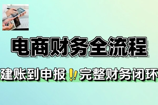 电商财务全流程实战课：零基础学建账到申报，掌握财务闭环