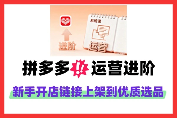 拼多多运营进阶系统课：2024-2025全流程，助你盈利增长！