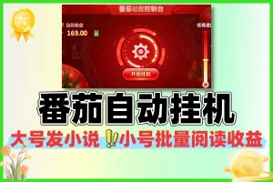 番茄小说合伙人全自动挂机项目：轻松躺赚的稳定之选