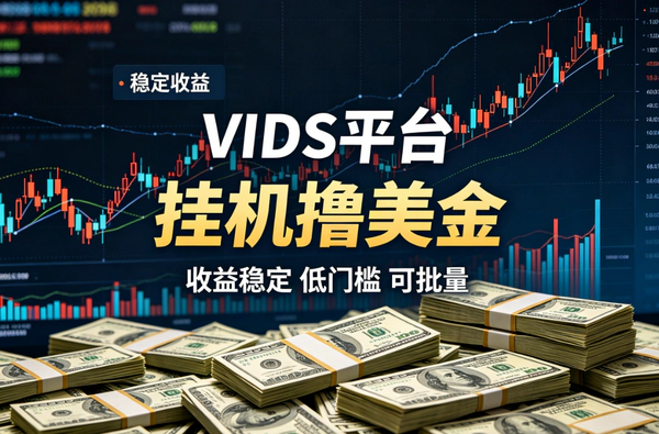 别人收费几千的VIDS挂机项目公开：电脑挂机日赚30美金，工作室可无限放大